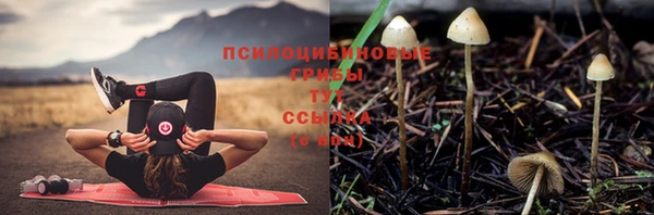 винт Арсеньев