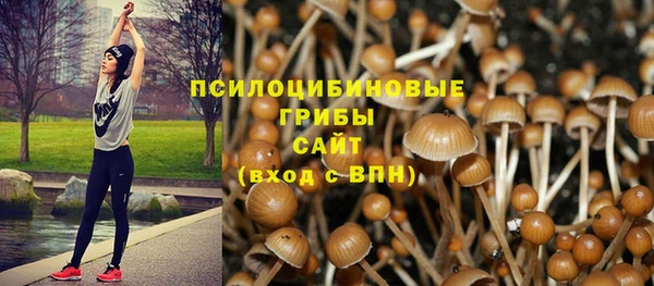 винт Арсеньев