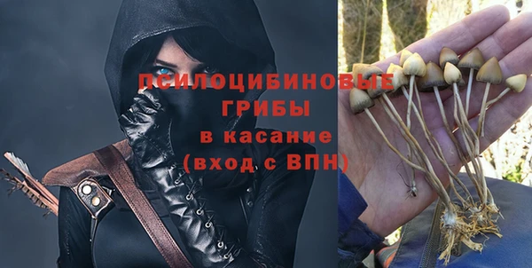 винт Арсеньев