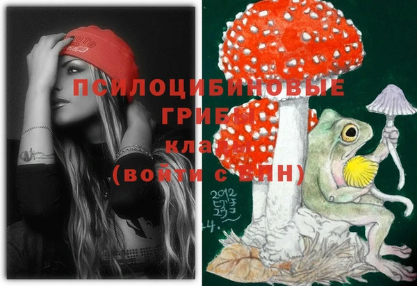 Альфа ПВП Армянск