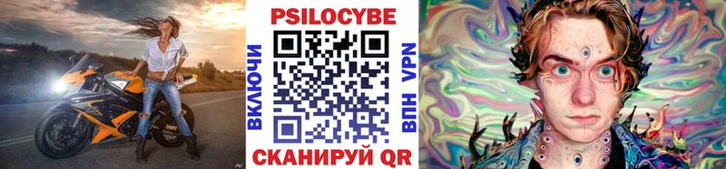 купить   Тюкалинск  Псилоцибиновые грибы GOLDEN TEACHER 